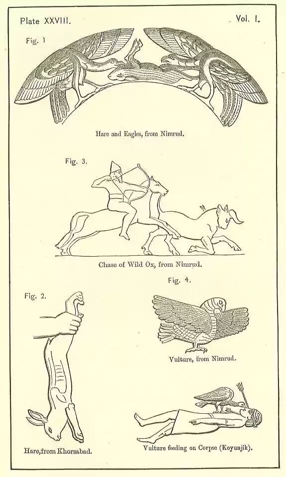 plate028